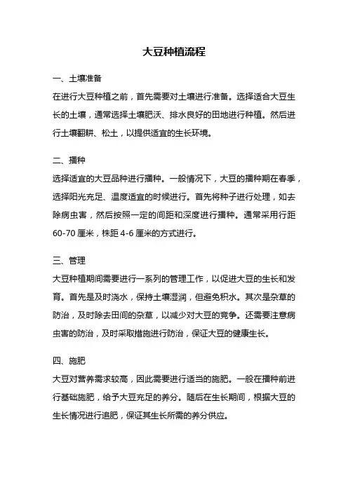 大豆种植流程