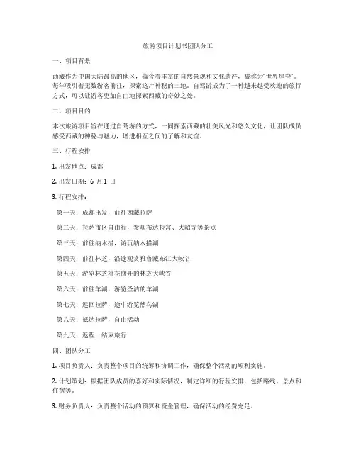 旅游项目计划书团队分工
