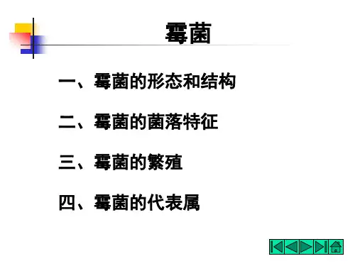 微生物(霉菌)