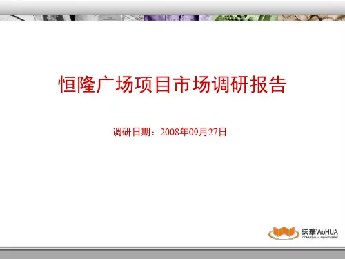 上海恒隆广场专项调研报告203495332