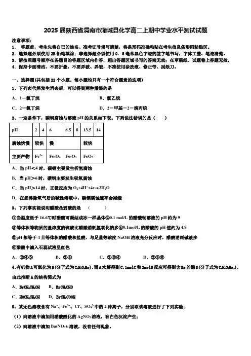 2025届陕西省渭南市蒲城县化学高二上期中学业水平测试试题含解析