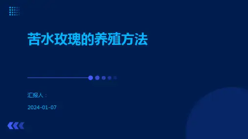 苦水玫瑰的养殖方法