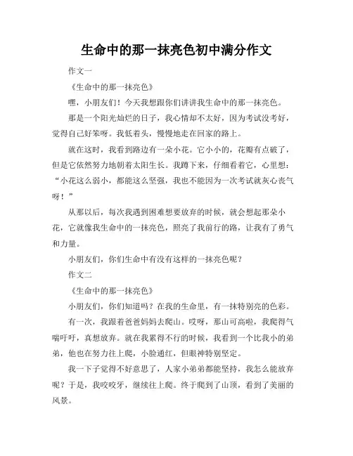 生命中的那一抹亮色初中满分作文
