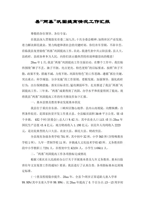 县“两基”巩固提高情况工作汇报