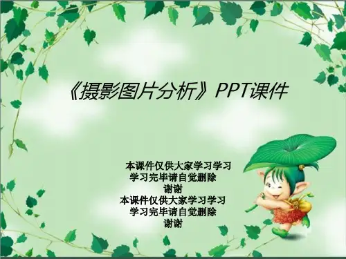 《摄影图片分析》PPT课件