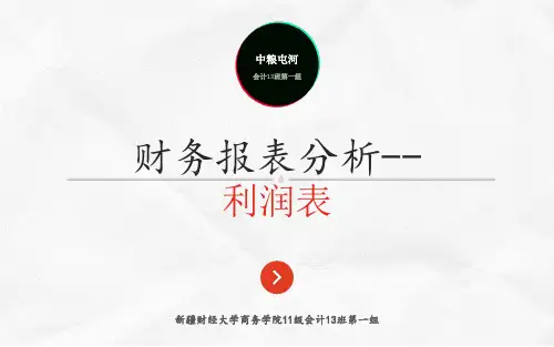 财务报表分析利润表