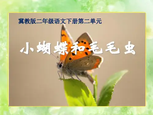 《小蝴蝶和毛毛虫》PPT课件二