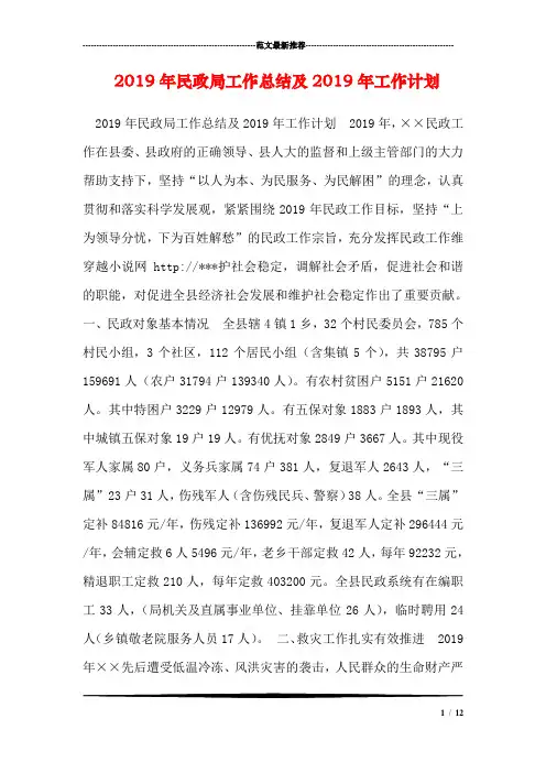 2019年民政局工作总结及2019年工作计划