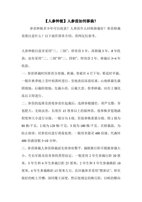 【人参种植】人参苗如何移栽？