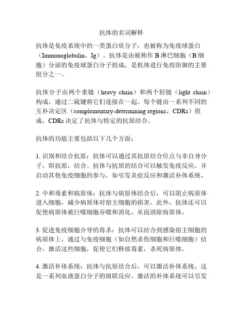 抗体的名词解释