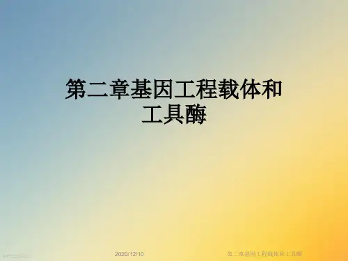 第二章基因工程载体和工具酶