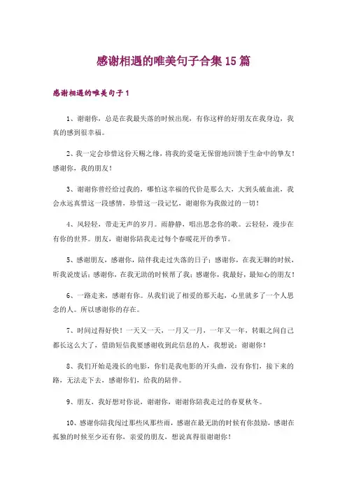 感谢相遇的唯美句子合集15篇
