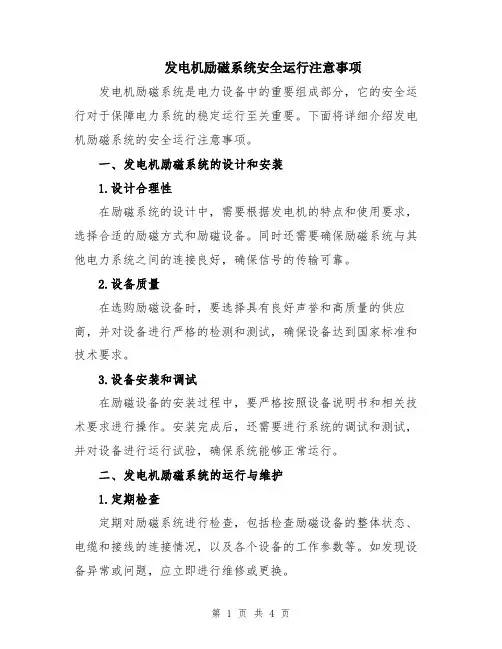 发电机励磁系统安全运行注意事项