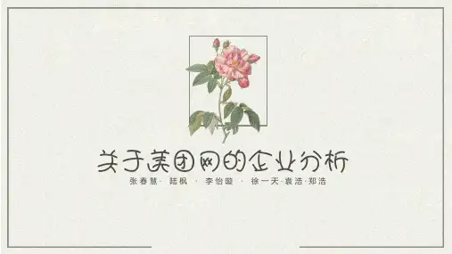 美团企业分析
