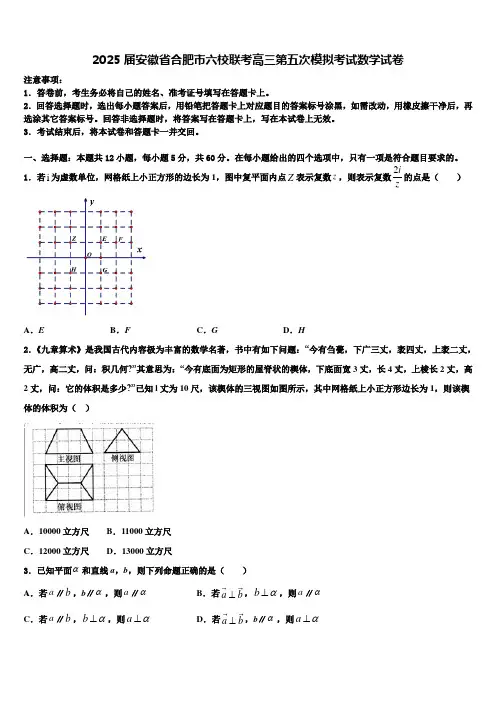 2025届安徽省合肥市六校联考高三第五次模拟考试数学试卷含解析