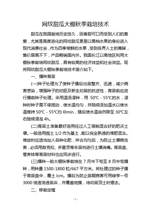 网纹甜瓜大棚秋季栽培技术