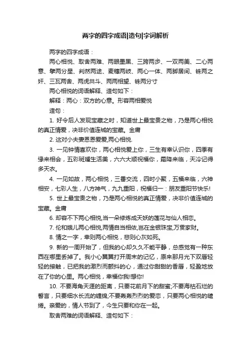 两字的四字成语造句字词解析