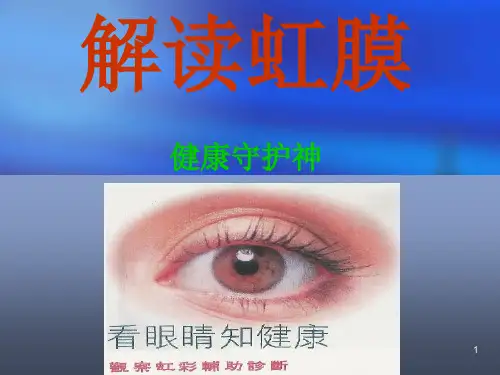 初级虹膜,中级虹膜,高级虹膜解读[优质借鉴]