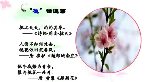 第19课《一棵小桃树》课件（共33张PPT） 2021-2022学年部编版语文七年级下册