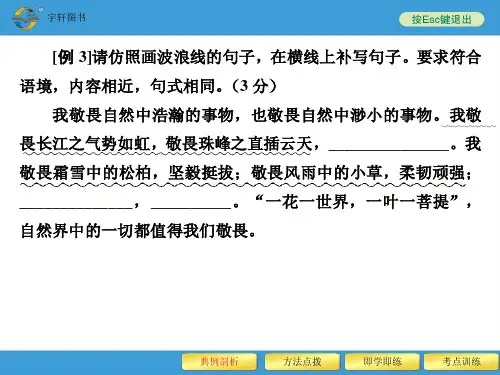 2020年中考备战复习专题五-仿写修辞、排序与仿写(含修辞)
