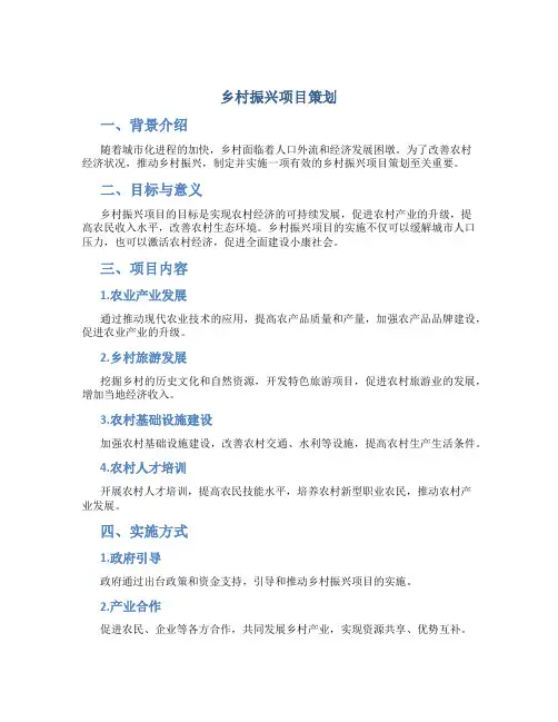 乡村振兴项目策划