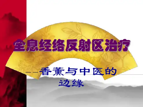全息经络脊椎反射区治疗 文档资料