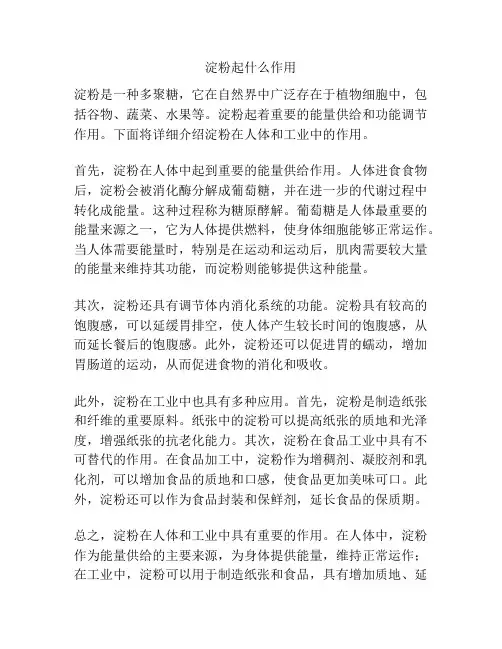 淀粉起什么作用