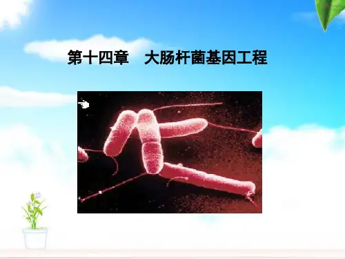 第十四章：大肠杆菌基因工程资料