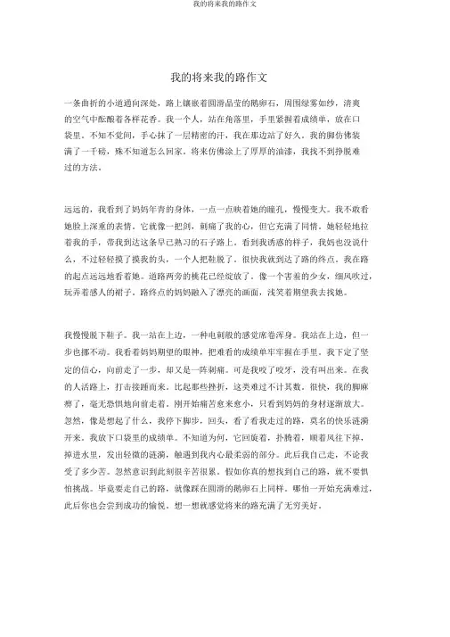 我的未来我的路作文