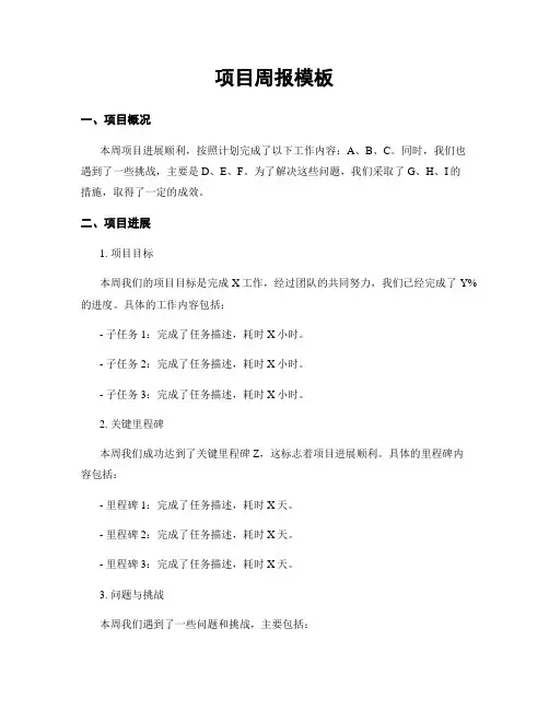 项目周报模板