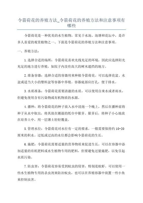 令箭荷花的养殖方法_令箭荷花的养殖方法和注意事项有哪些