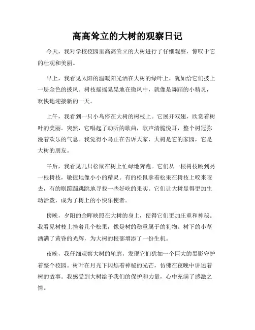 小学三年级作文高高耸立的大树的观察日记