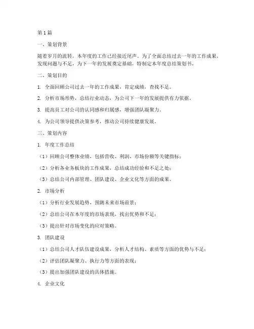 公司年度总结策划书(3篇)