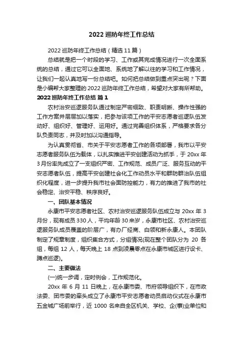 2022巡防年终工作总结（精选11篇）