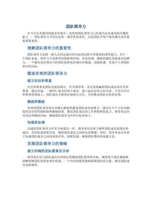 团队领导力