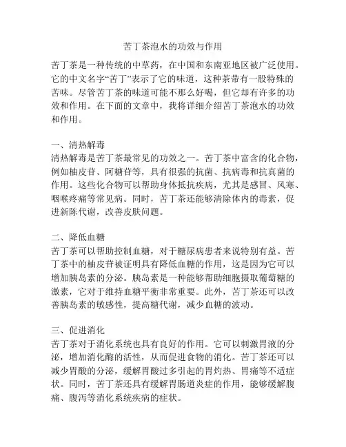 苦丁茶泡水的功效与作用