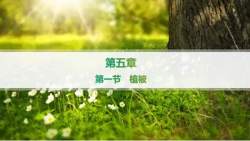 2024-2025学年高一地理必修第一册(配人教版)第5章第1节植被
