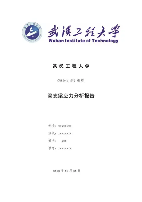 弹性力学简支梁分析报告