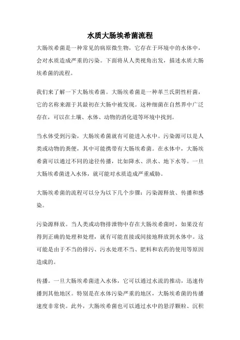 水质大肠埃希菌流程
