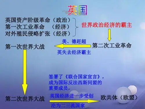 广东省佛山市中考历史大国崛起复习课件