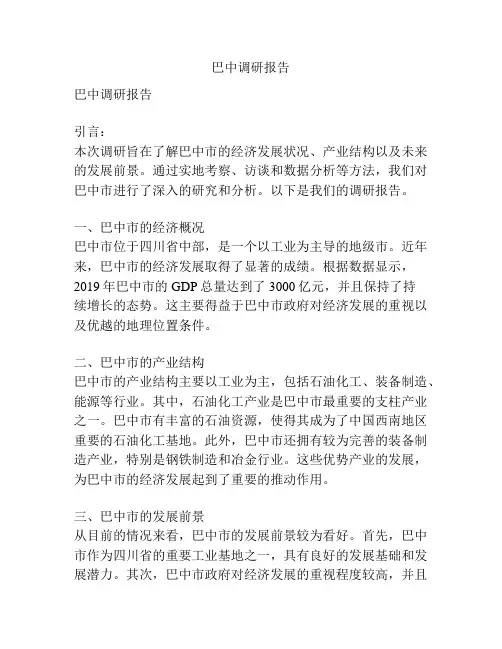 巴中调研报告
