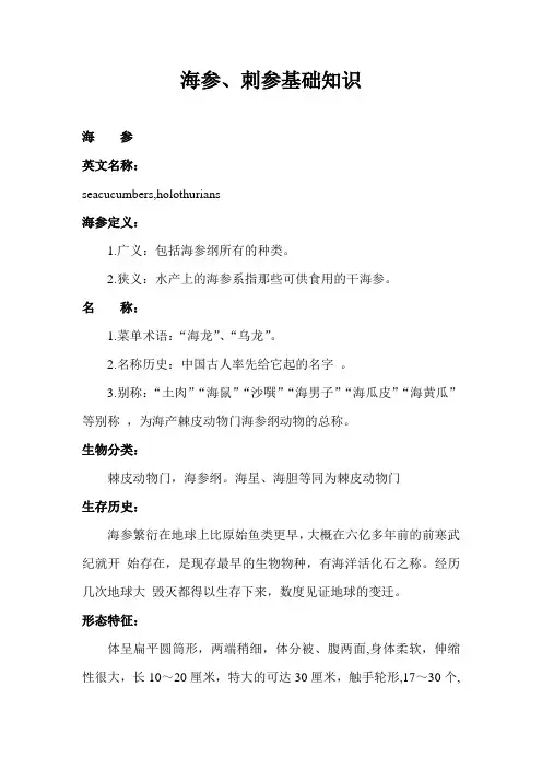海参、刺参基础知识