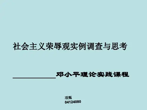 社会主义荣辱观实例调查与思考