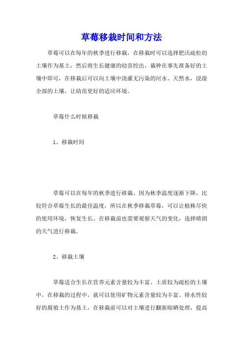 草莓移栽时间和方法