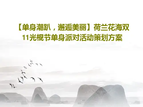 【单身潮趴,邂逅美丽】荷兰花海双11光棍节单身派对活动策划方案22页PPT