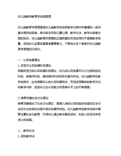 幼儿园教师教育学实践原理 幼儿园教育学原理