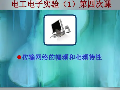 传输网络的幅频和相频特性(lu)