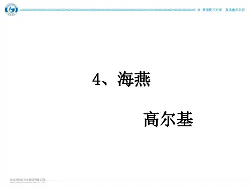 部编版九年级语文下册精品课件：4·海燕