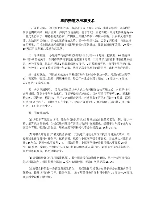 羊的养殖方法和技术