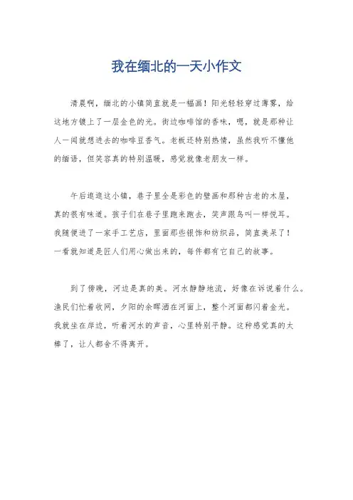 我在缅北的一天小作文